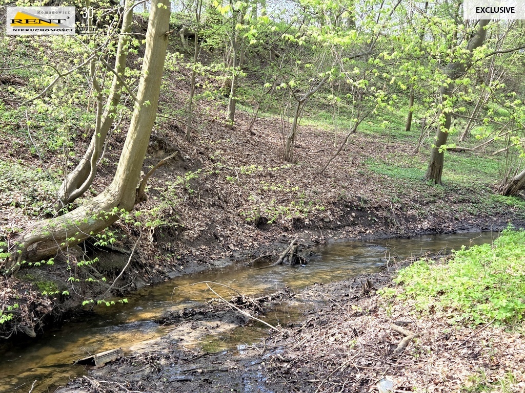 Działka ze starym młynem - Różańsko (6)