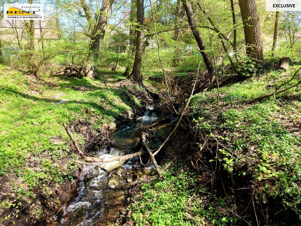 Działka ze starym młynem - Różańsko (10)