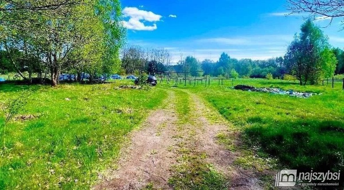 Trzebież- atrakcyjna działka wśród zieleni (3)