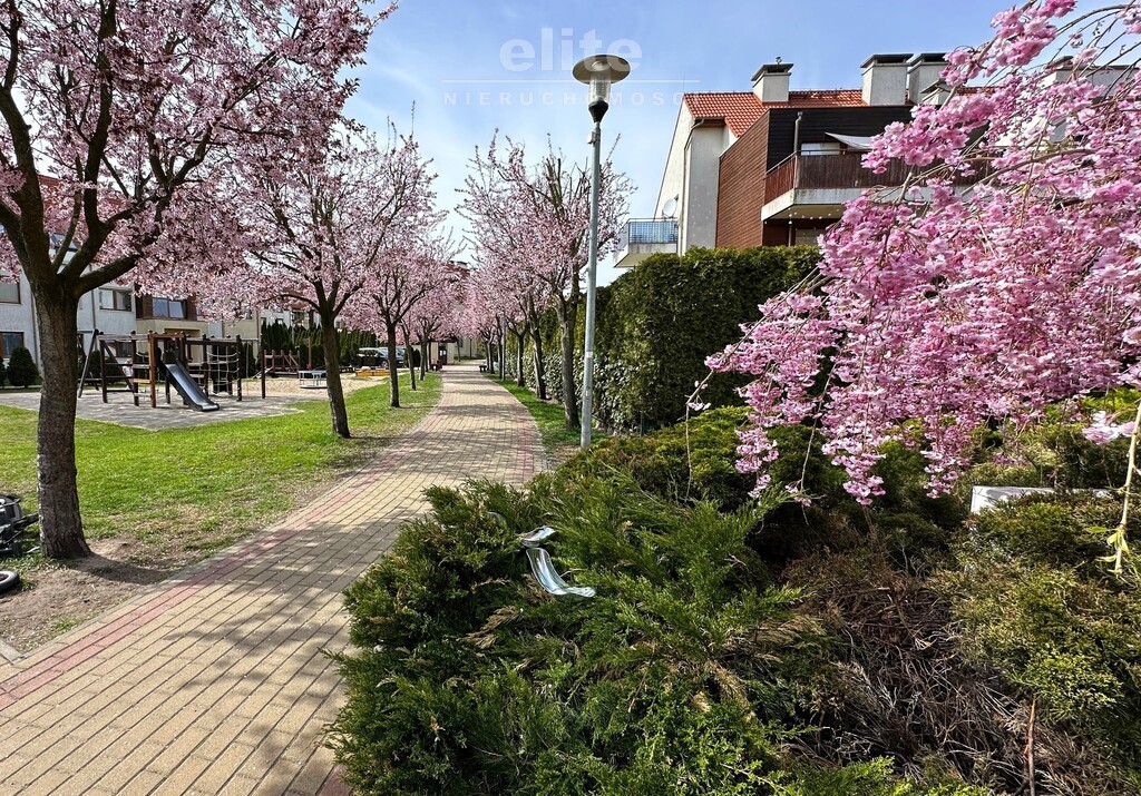 Dolina Słońca - jasne przestronne i klimatyczne (19)