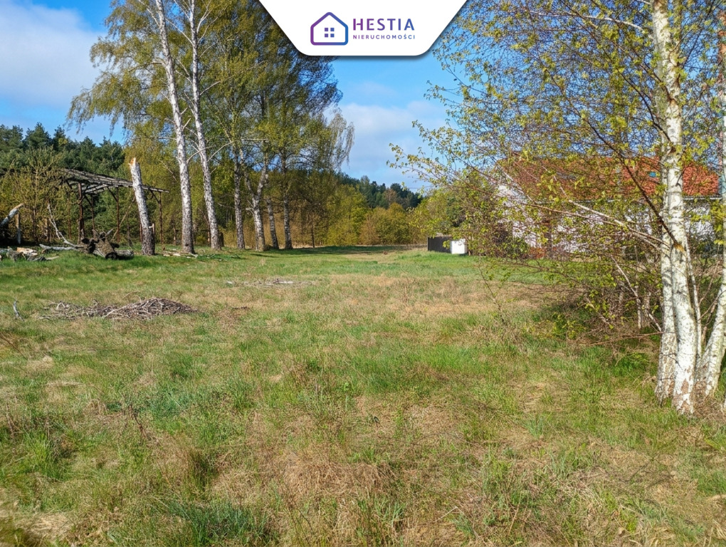 Kobylanka | Działka - media, las, spokój (3)