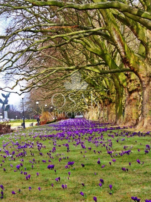 Al. Jana Pawła II - 2 pok. przy Jasnych Błoniach (15)