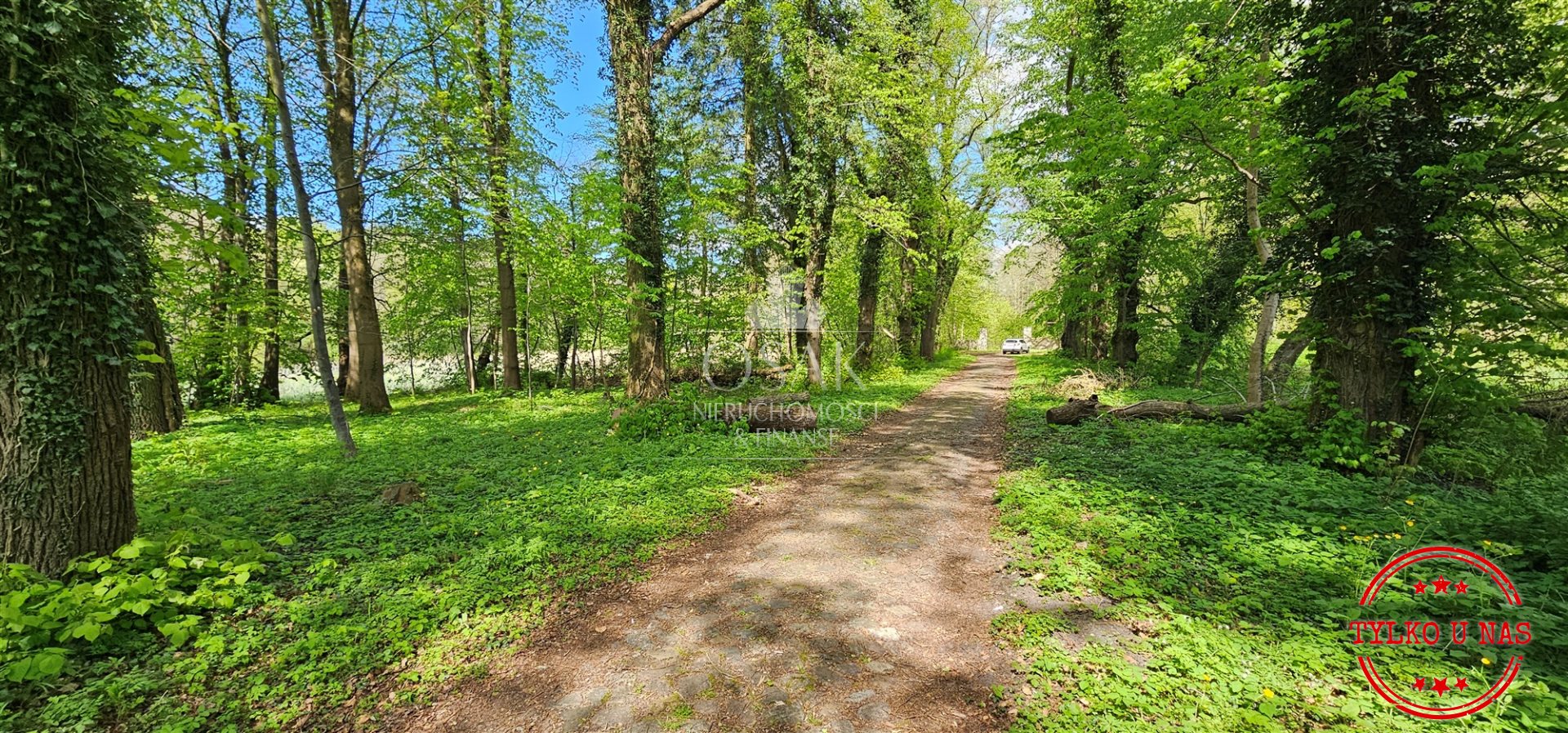 Na sprzedaż pięknie położona działka - Żerzyno  (1)