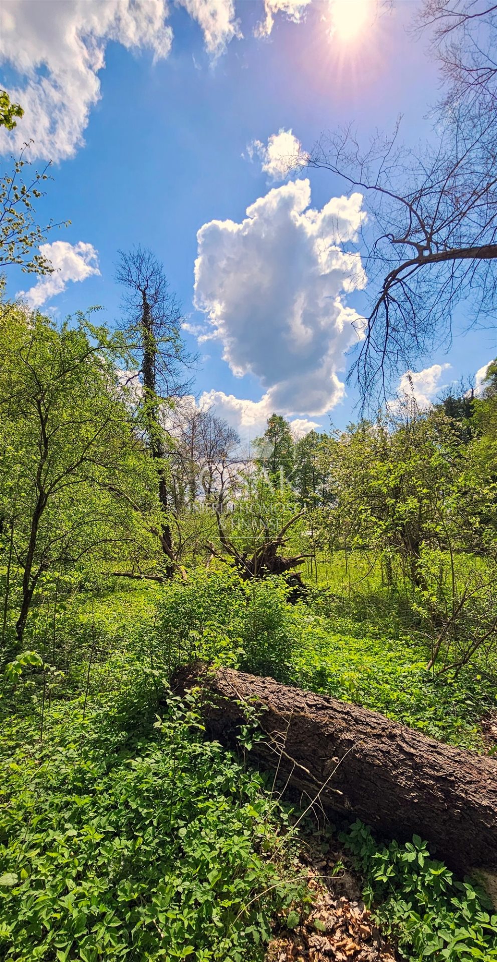 Na sprzedaż pięknie położona działka - Żerzyno  (4)