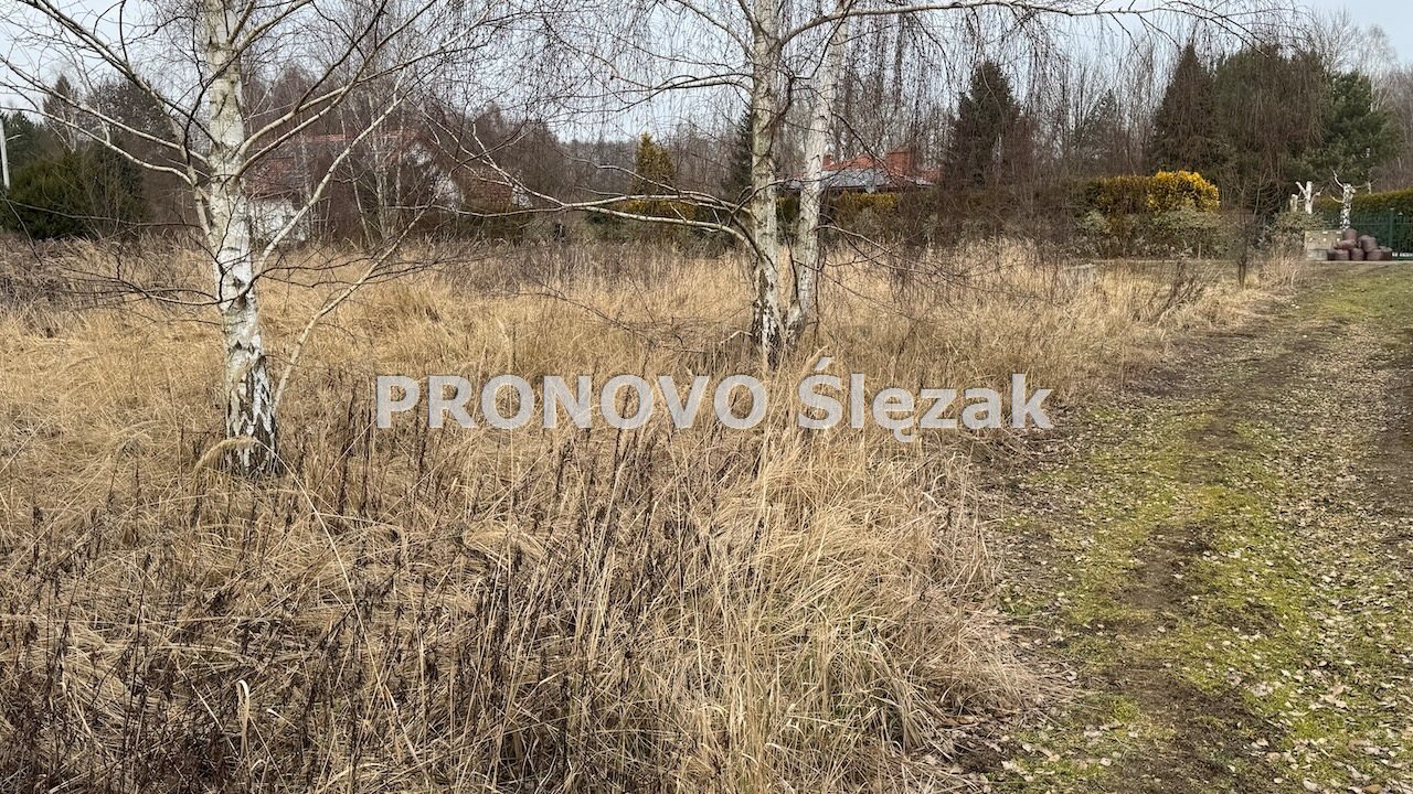 Działka budowlana 10,8 ara - Jary k. Obornik Śl. (4)