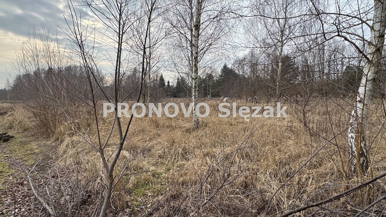 Działka budowlana 10,8 ara - Jary k. Obornik Śl. (5)