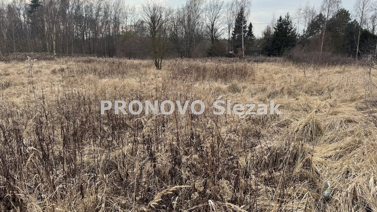 Działka budowlana 10,8 ara - Jary k. Obornik Śl. (6)