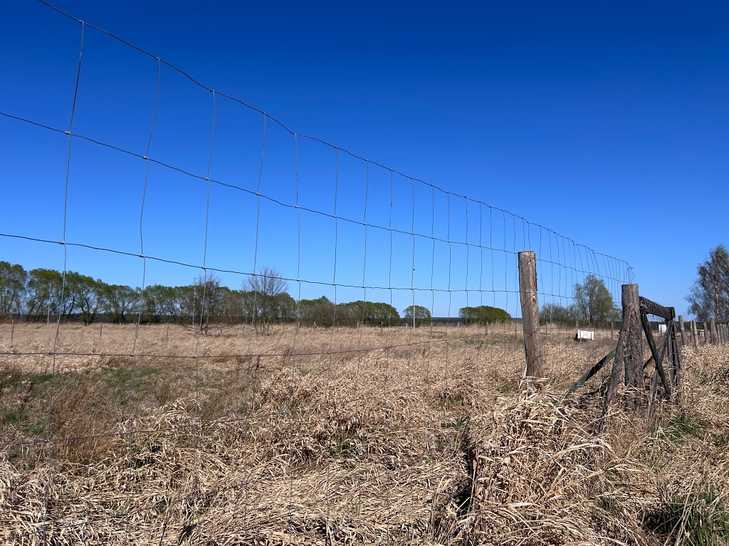 Dobra, Działka z projektem bliźniaka i WZ (5)