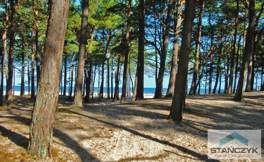 Dziwnów  Blisko Morza Działka w Lesie  (1)