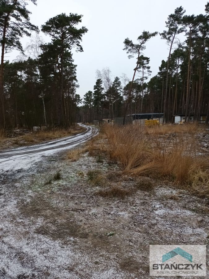 Dziwnów  Blisko Morza Działka w Lesie  (4)