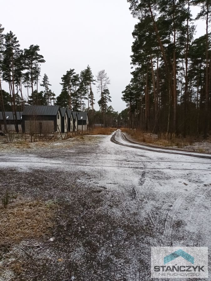 Dziwnów  działka w lesie sosnowym (2)