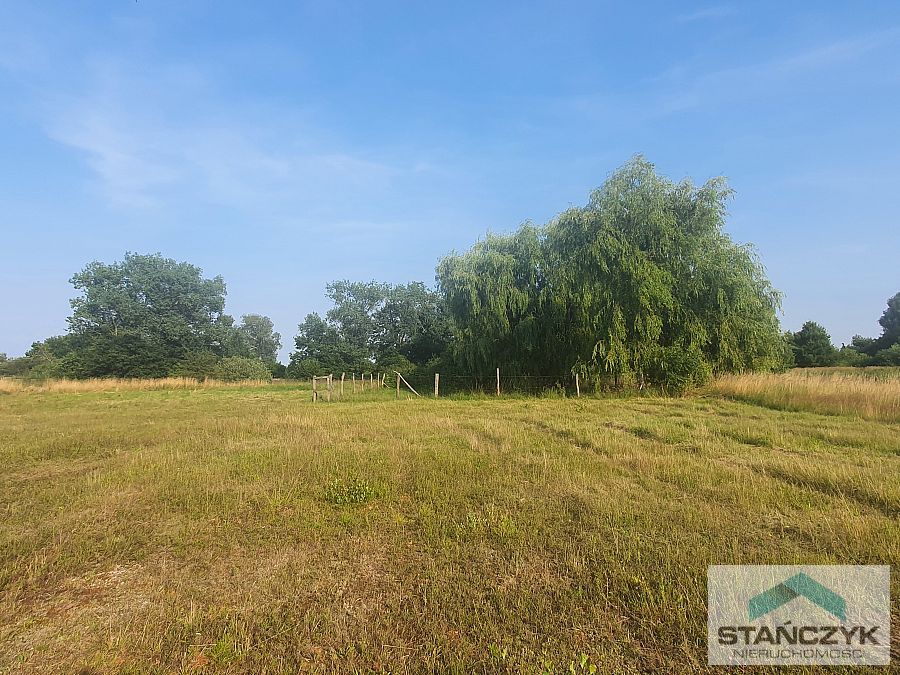 Atrakcyjna działka w Ładzinie (2)