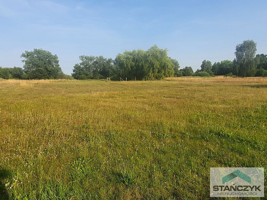 Atrakcyjna działka w Ładzinie (3)