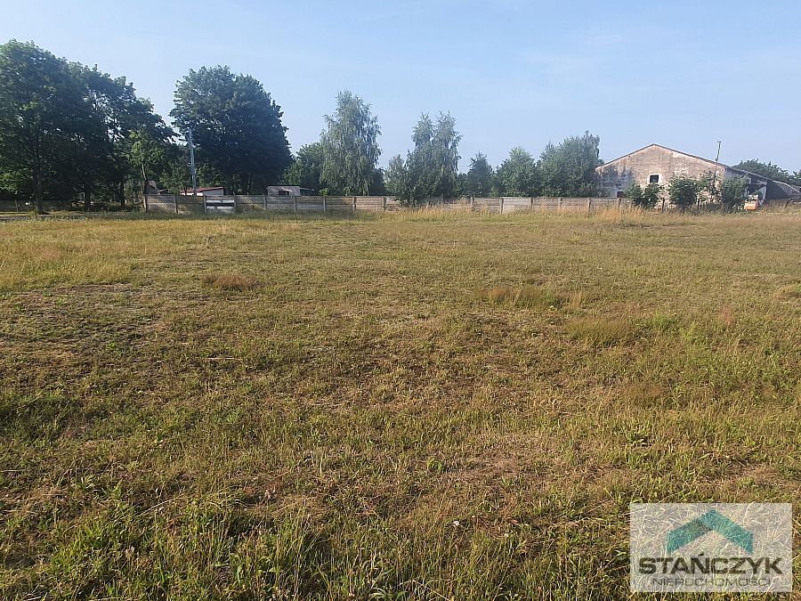 Atrakcyjna działka w Ładzinie (4)