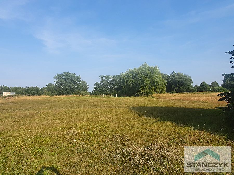 Atrakcyjna działka w Ładzinie (5)