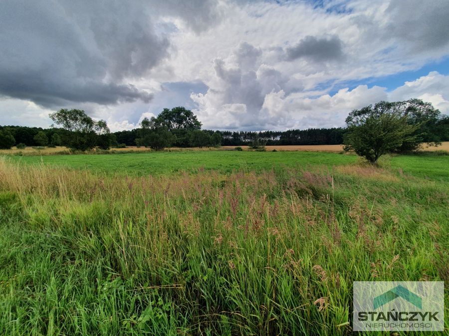 Działka rolna - Pas Nadmorski (1)