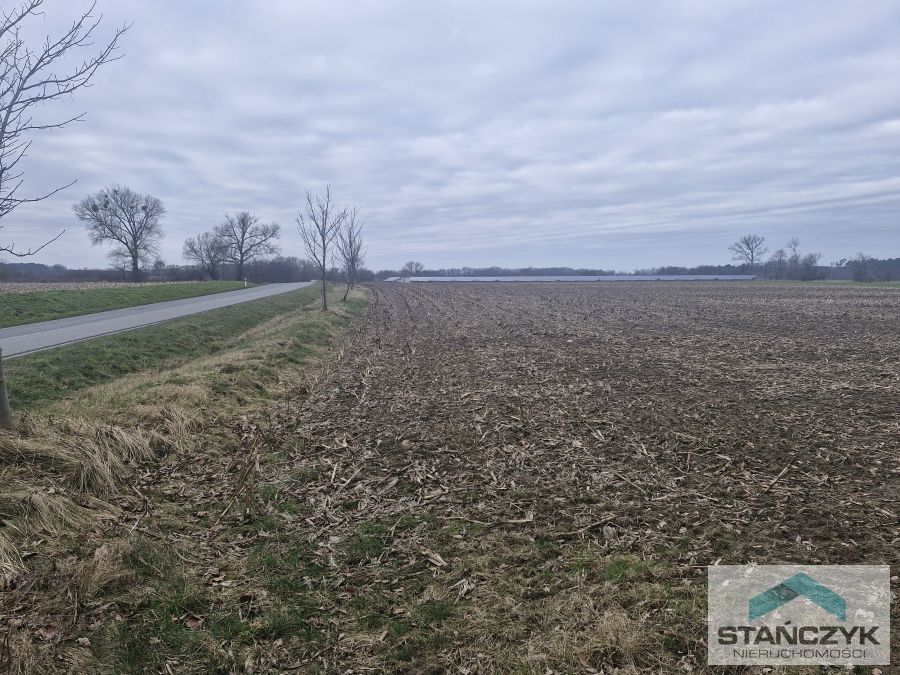 Działka Idealna Pod Farmę Fotowoltaiczną (1)