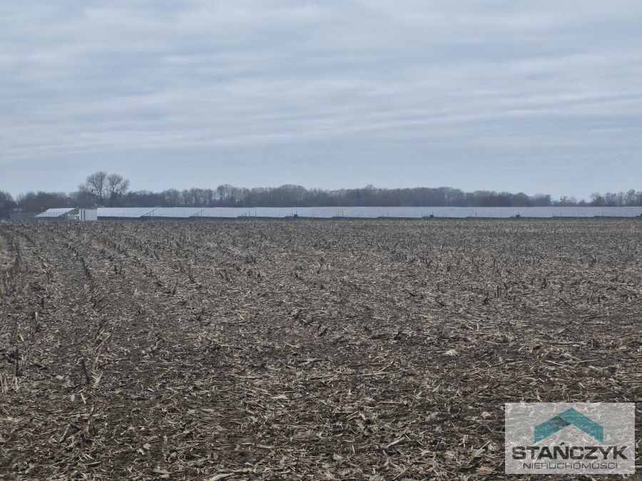 Działka Idealna Pod Farmę Fotowoltaiczną (2)