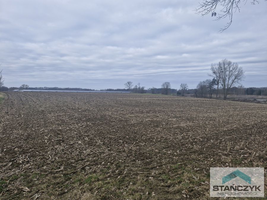 Działka Idealna Pod Farmę Fotowoltaiczną (3)