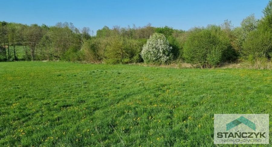 Ninikowo Kompleks Działek (1)