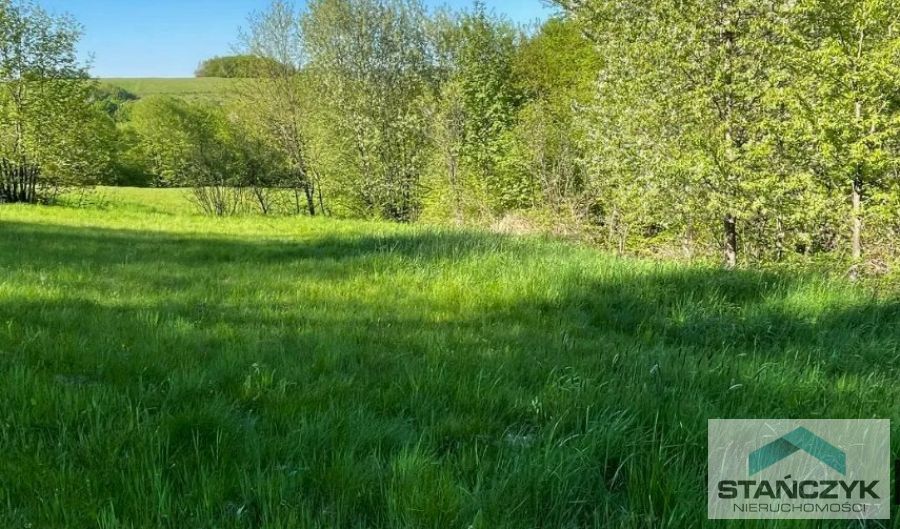 Duże Działki Ładzin Pas Nadmorski (1)