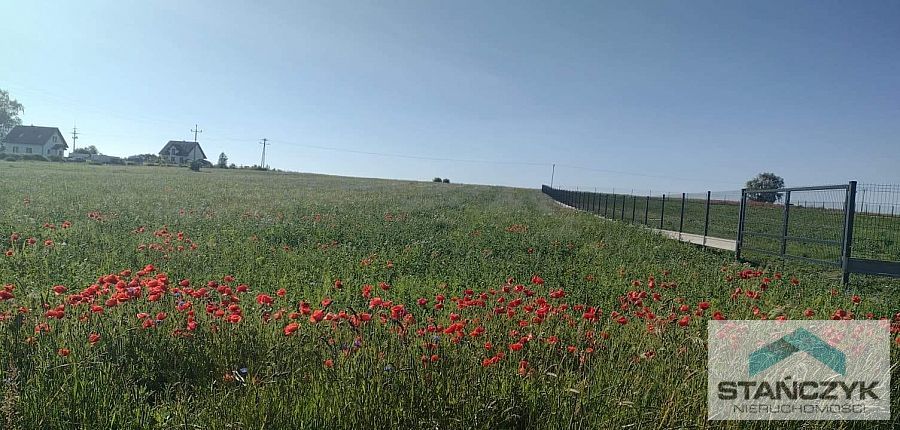 Duże działki - 5 km od morza  (2)