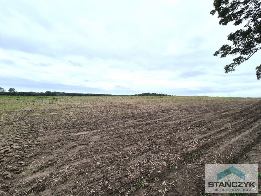 Duża Działka Budowlana 3478 m2 - 55 zł m2  (4)