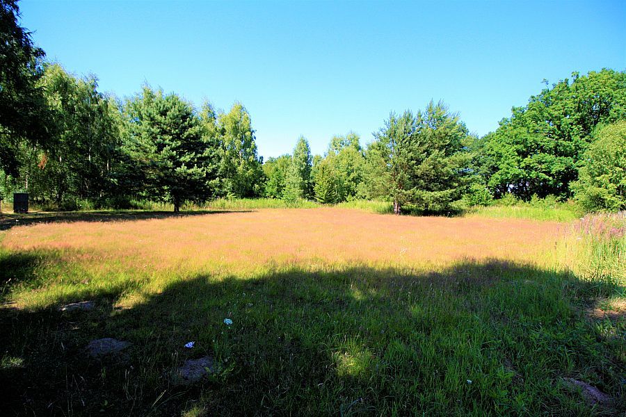 Piękna działka nad Jeziorem - Golczewo (2)