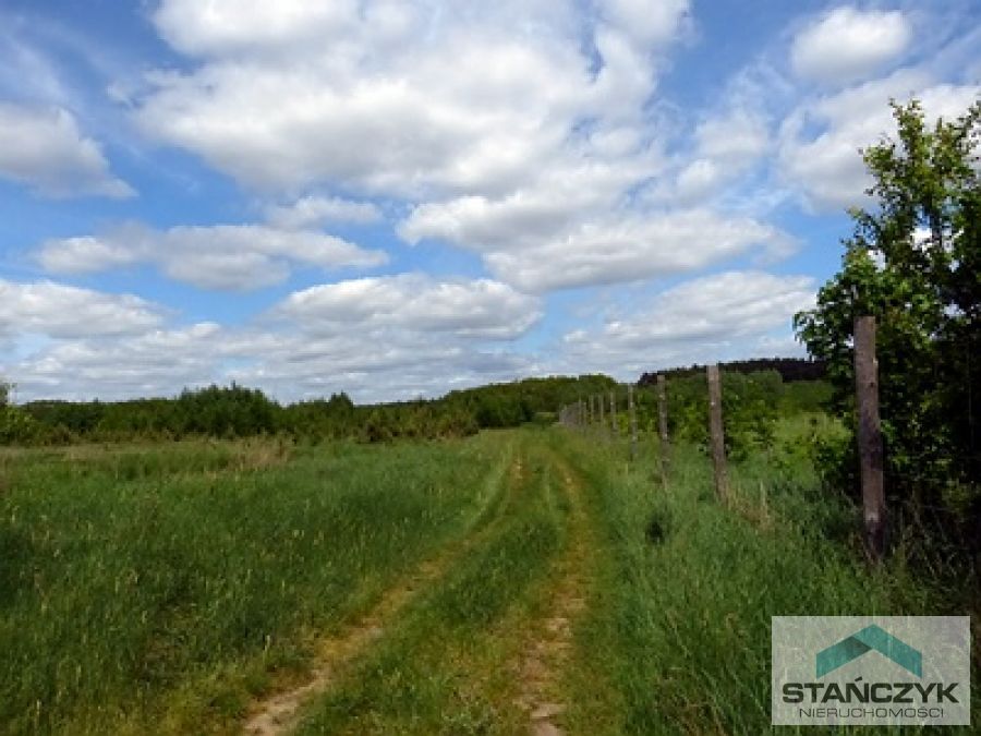 Ziemia Rolna pod Fotowoltaikę 1,45 ha - Okolice Ka (1)