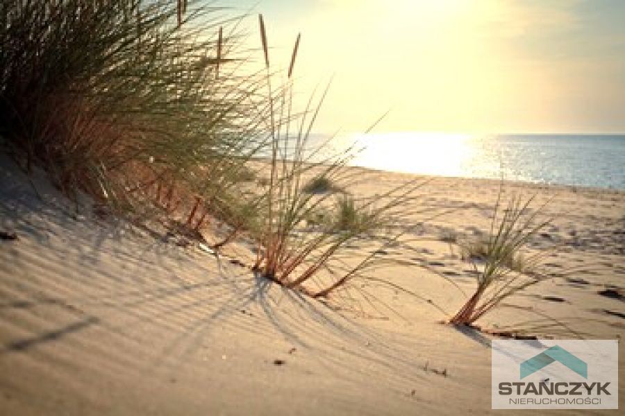 Działka 4600m2 Ładzin (1)