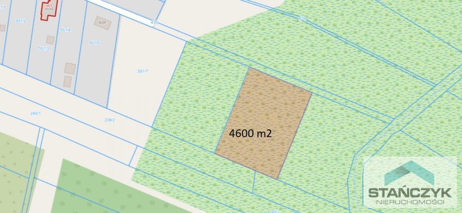 Działka 4600m2 Ładzin (2)