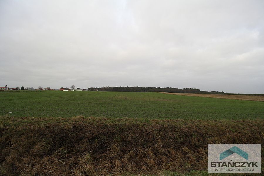 Działka 4600m2 Ładzin (3)