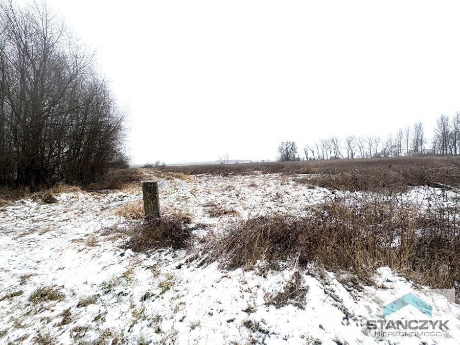 Działka Rolna 7700 m2 - 300 metrów do Zalewu (1)