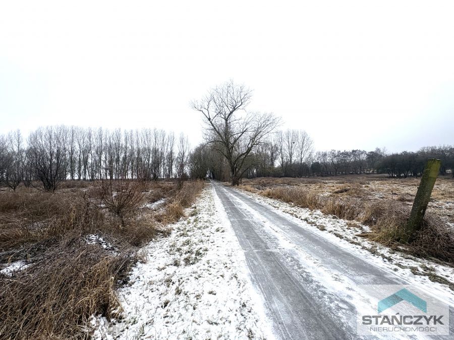 Działka Rolna 7700 m2 - 300 metrów do Zalewu (2)