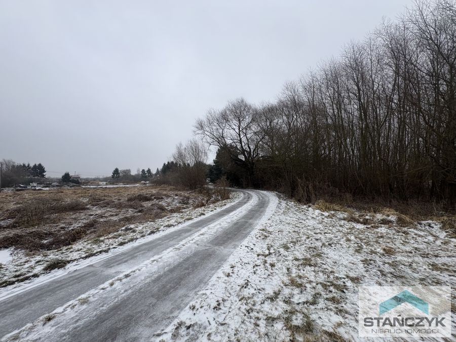 Działka Rolna 7700 m2 - 300 metrów do Zalewu (3)