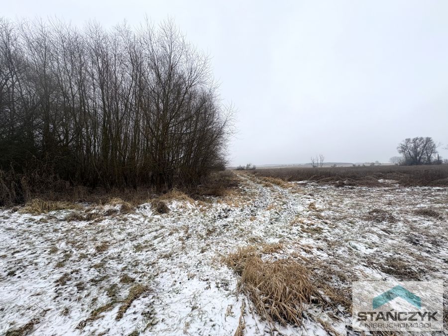 Działka Rolna 7700 m2 - 300 metrów do Zalewu (4)