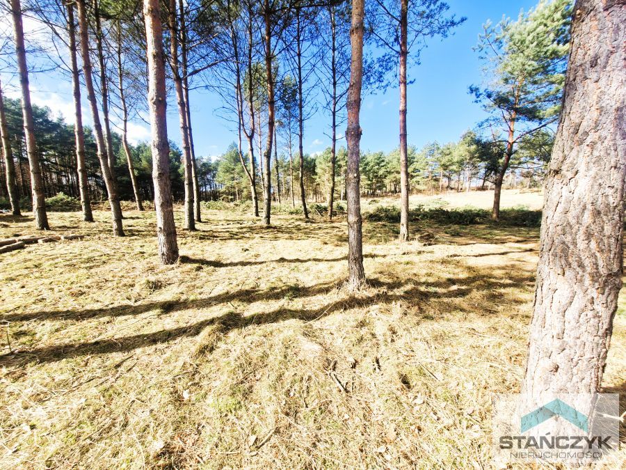 Działka Budowlana Przy Jeziorze (4)