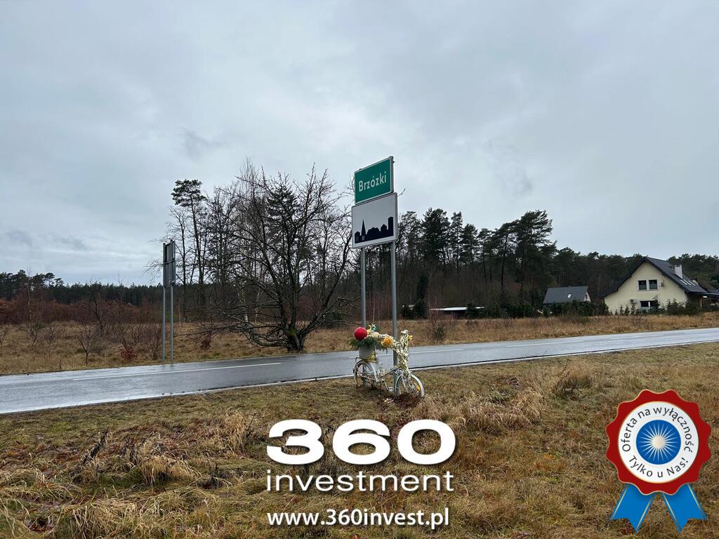 Brzózki dwie działki obok siebie (4)