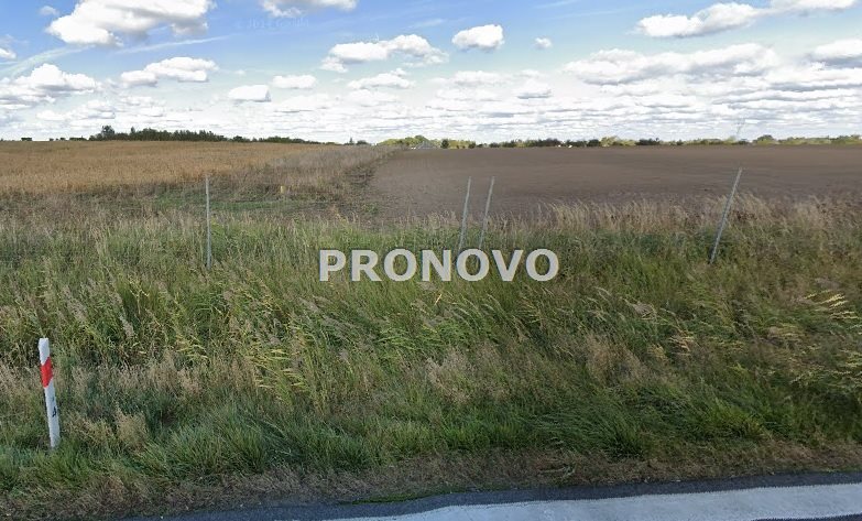 Działki rolne Kołbaskowo- Siadło Górne (6)