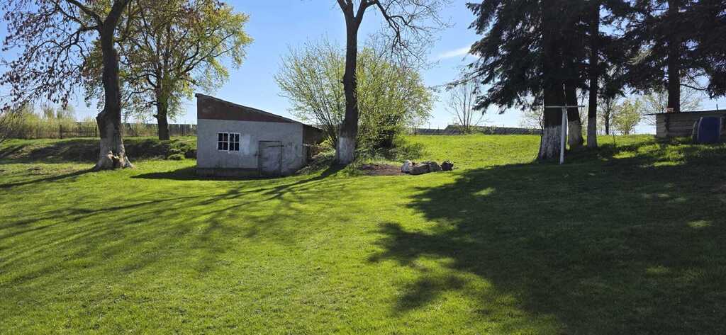 Dom z dużą działką - Smolęcin (24)