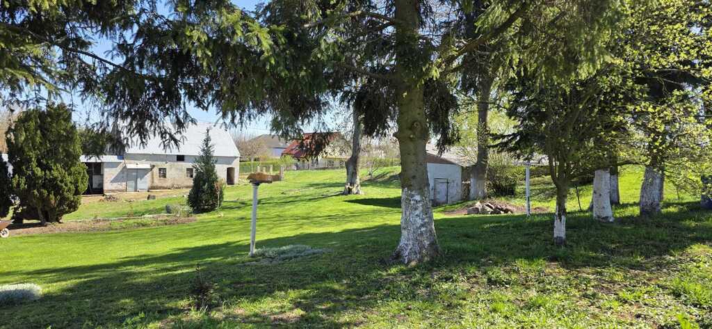 Dom z dużą działką - Smolęcin (25)