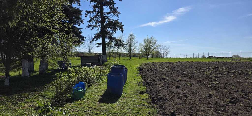 Dom z dużą działką - Smolęcin (29)