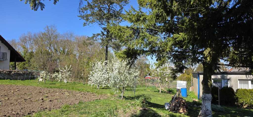 Dom z dużą działką - Smolęcin (30)