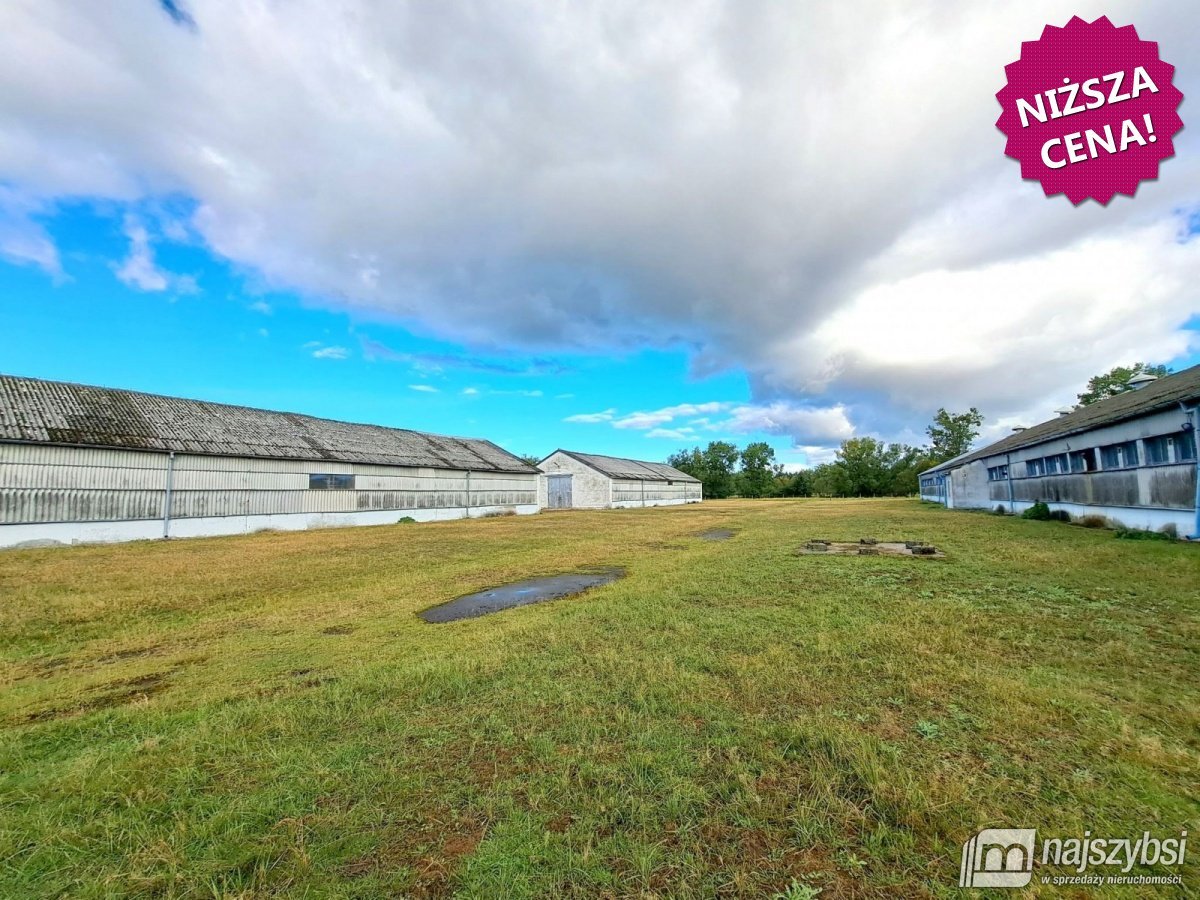 ***Dom wolnostojący + hale produkcyjno-magazynowe  (1)