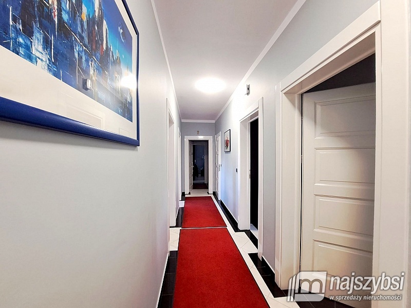 ***Dom wolnostojący + hale produkcyjno-magazynowe  (2)