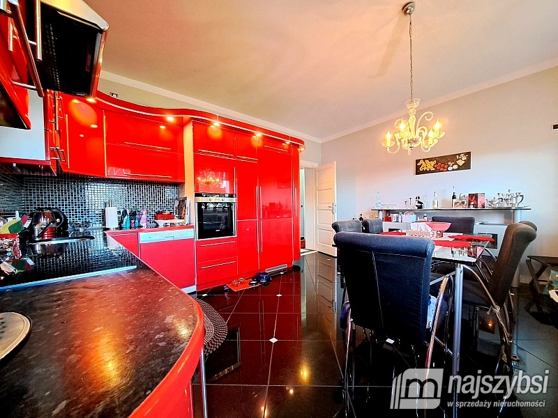 ***Dom wolnostojący + hale produkcyjno-magazynowe  (3)