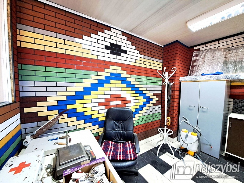 ***Dom wolnostojący + hale produkcyjno-magazynowe  (6)