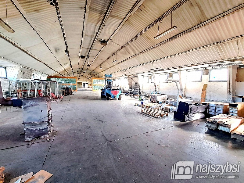 ***Dom wolnostojący + hale produkcyjno-magazynowe  (8)