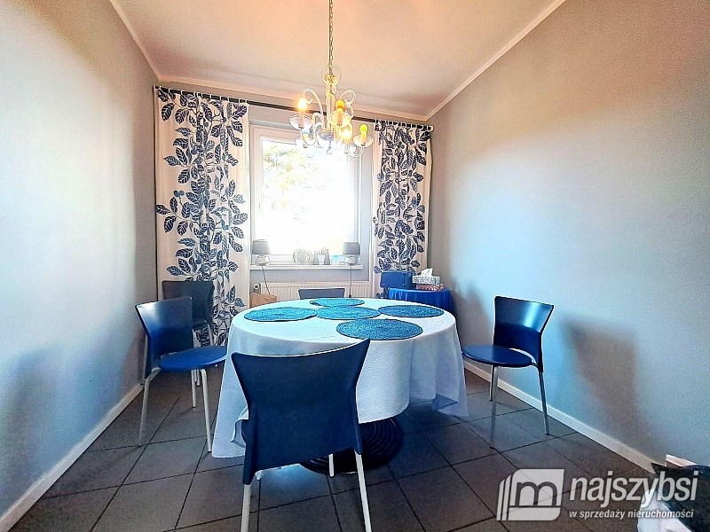 ***Dom wolnostojący + hale produkcyjno-magazynowe  (9)