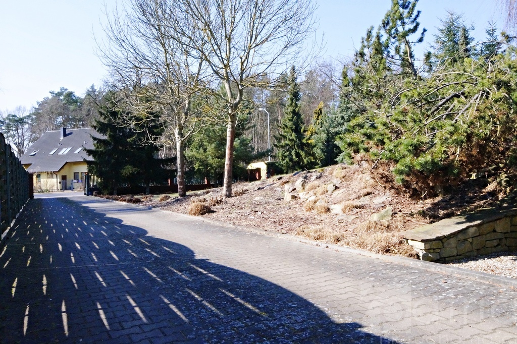 Dom 240m2 2 mieszkania plus budynek usługowy (20)
